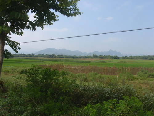 Pastoral China.